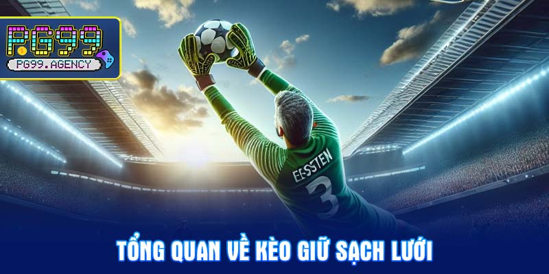 Tổng quan về kèo giữ sạch lưới